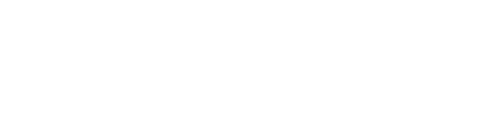 BBQ & Brew Music Festival